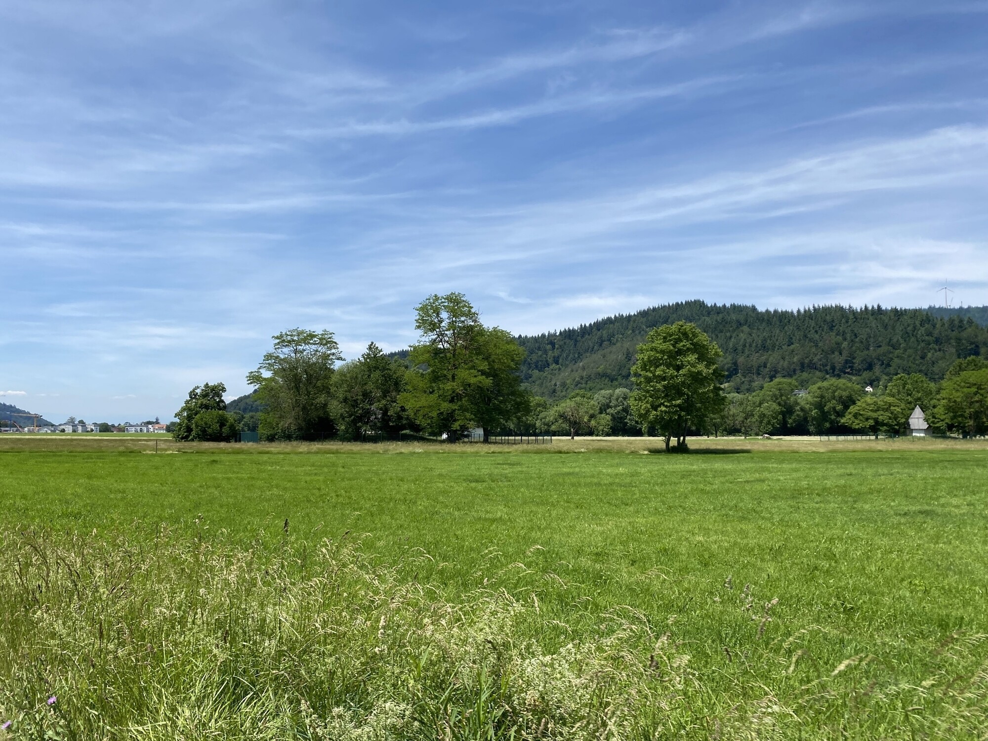 Vor den Toren Freiburgs- Stegen im Dreisamtal