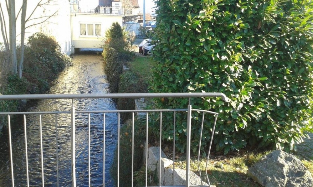 Idyllischer Bachlauf am Grundstück