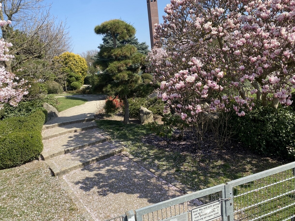 Gegenüber des Grundstücks liegt der Japanische Garten