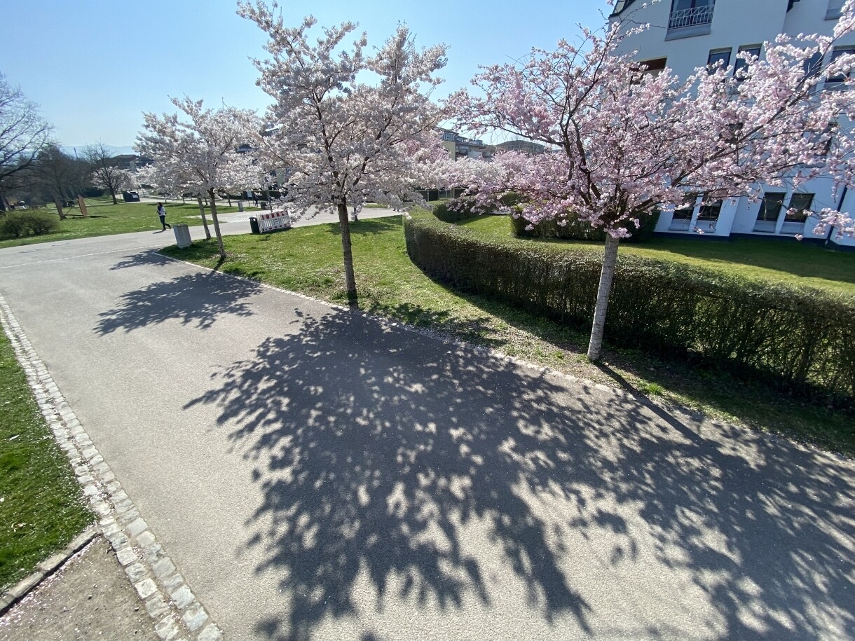Immobilienbild