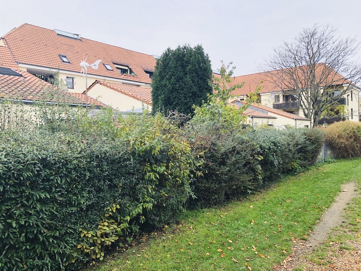 Grüne Oase in der Stadt