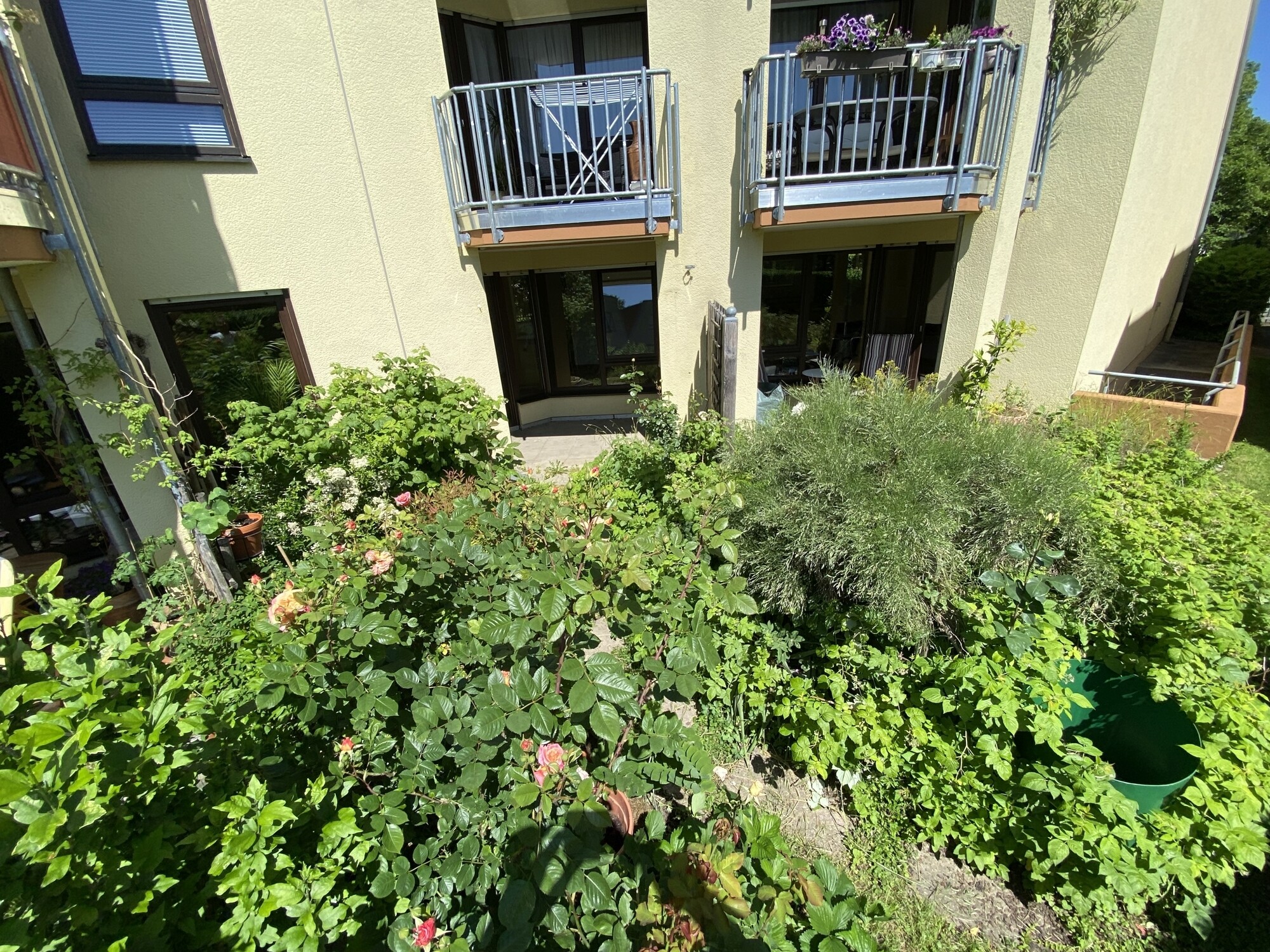 Immobilienbild