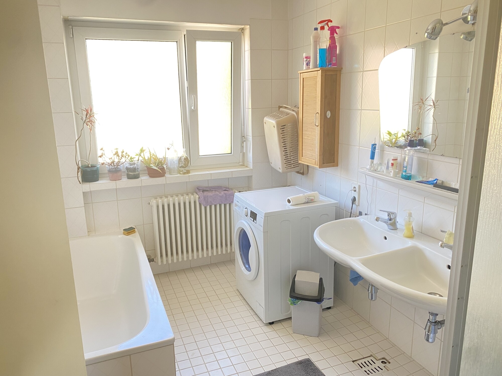 Immobilienbild