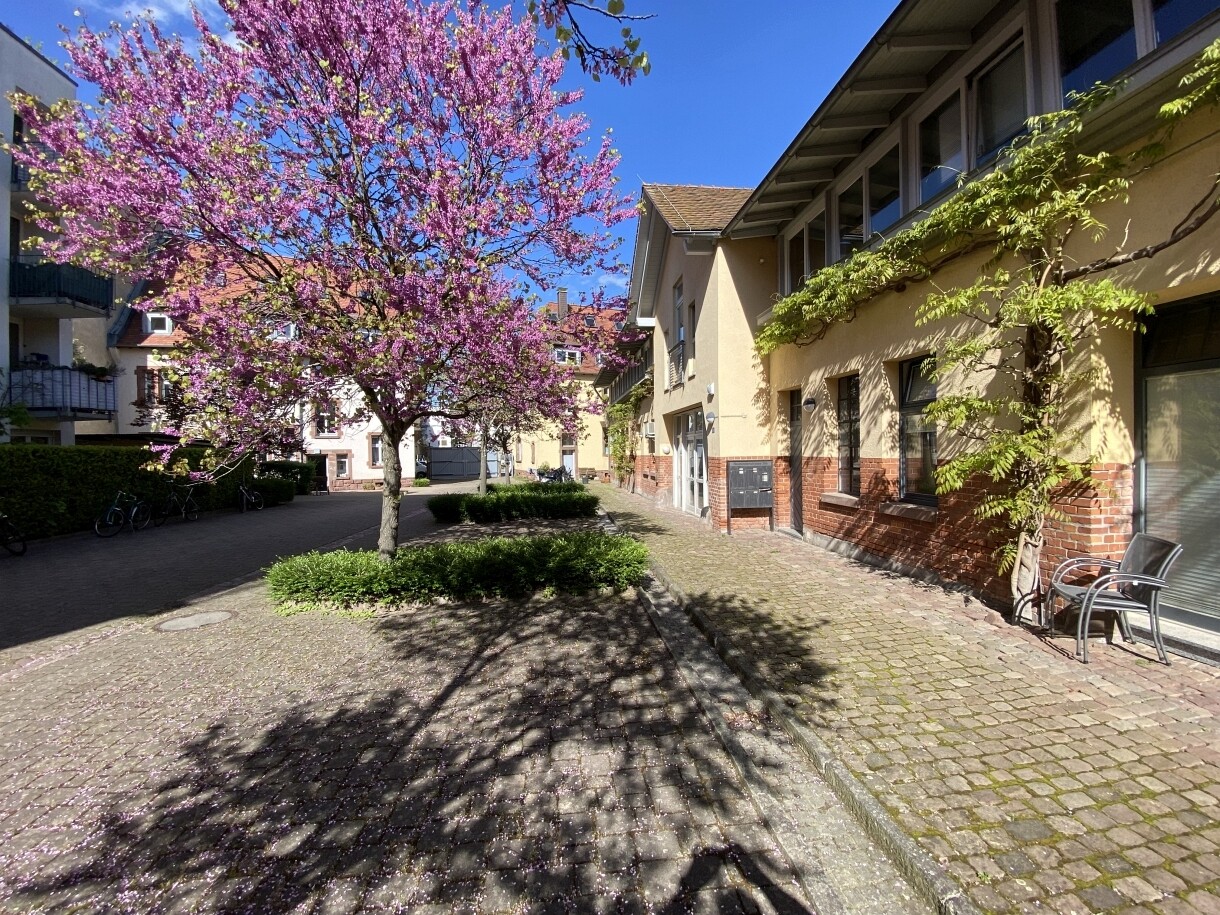 Immobilienbild