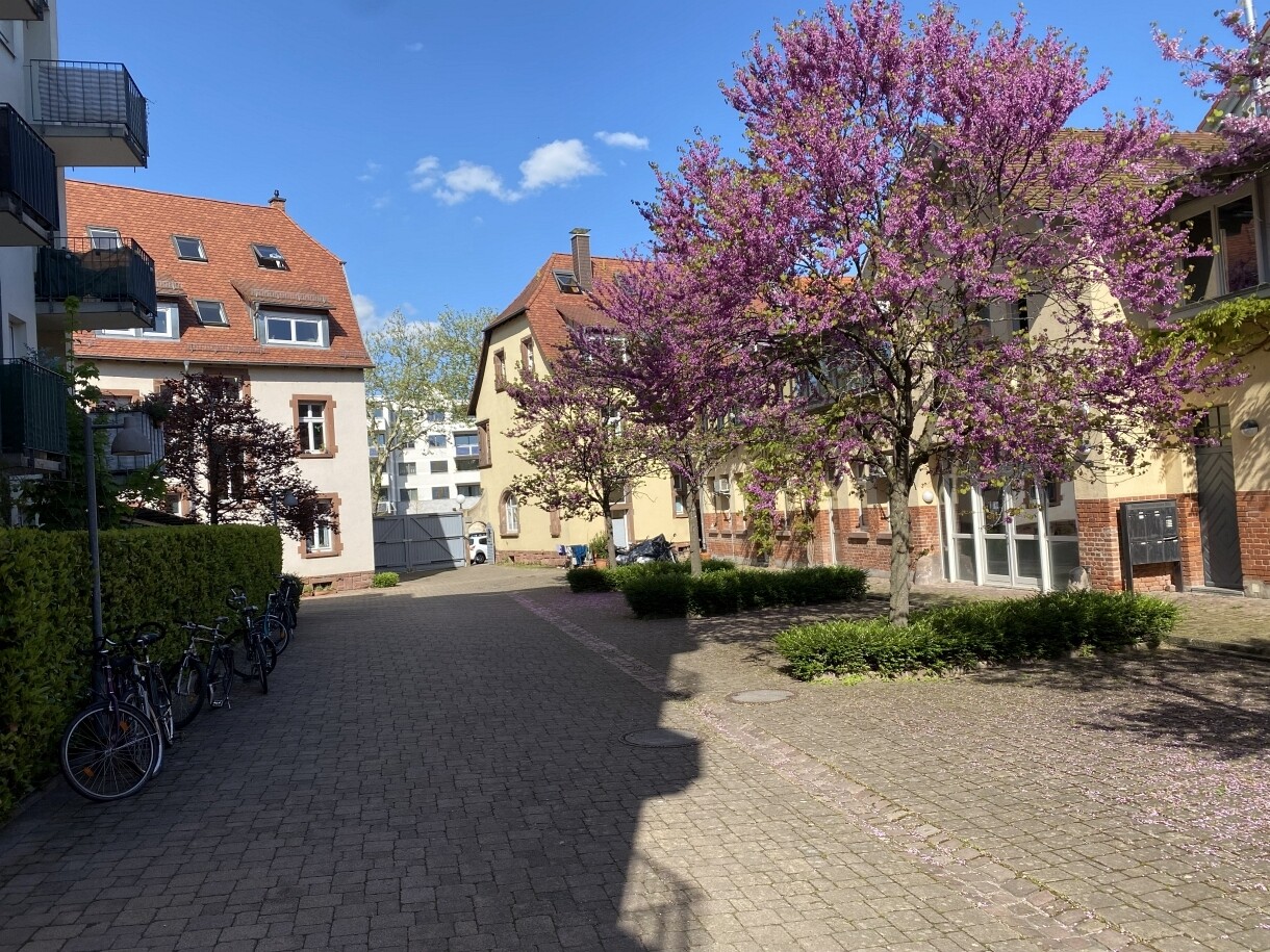 Immobilienbild