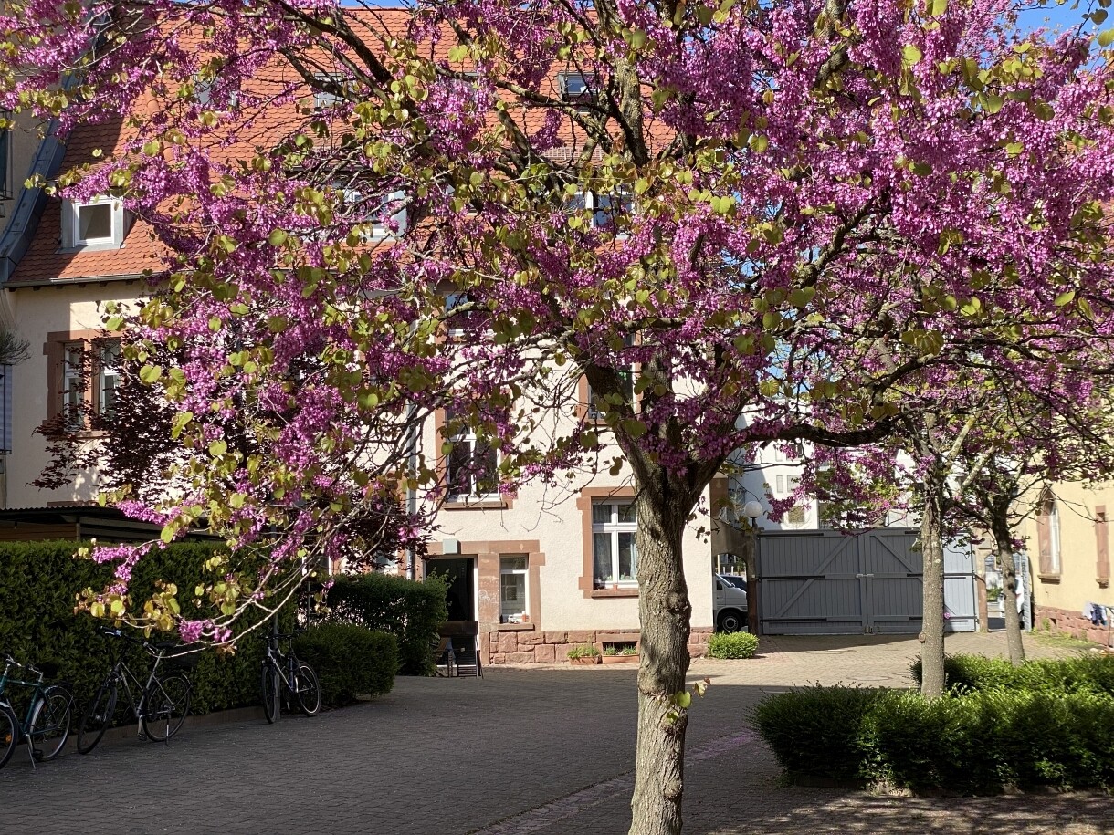 Immobilienbild