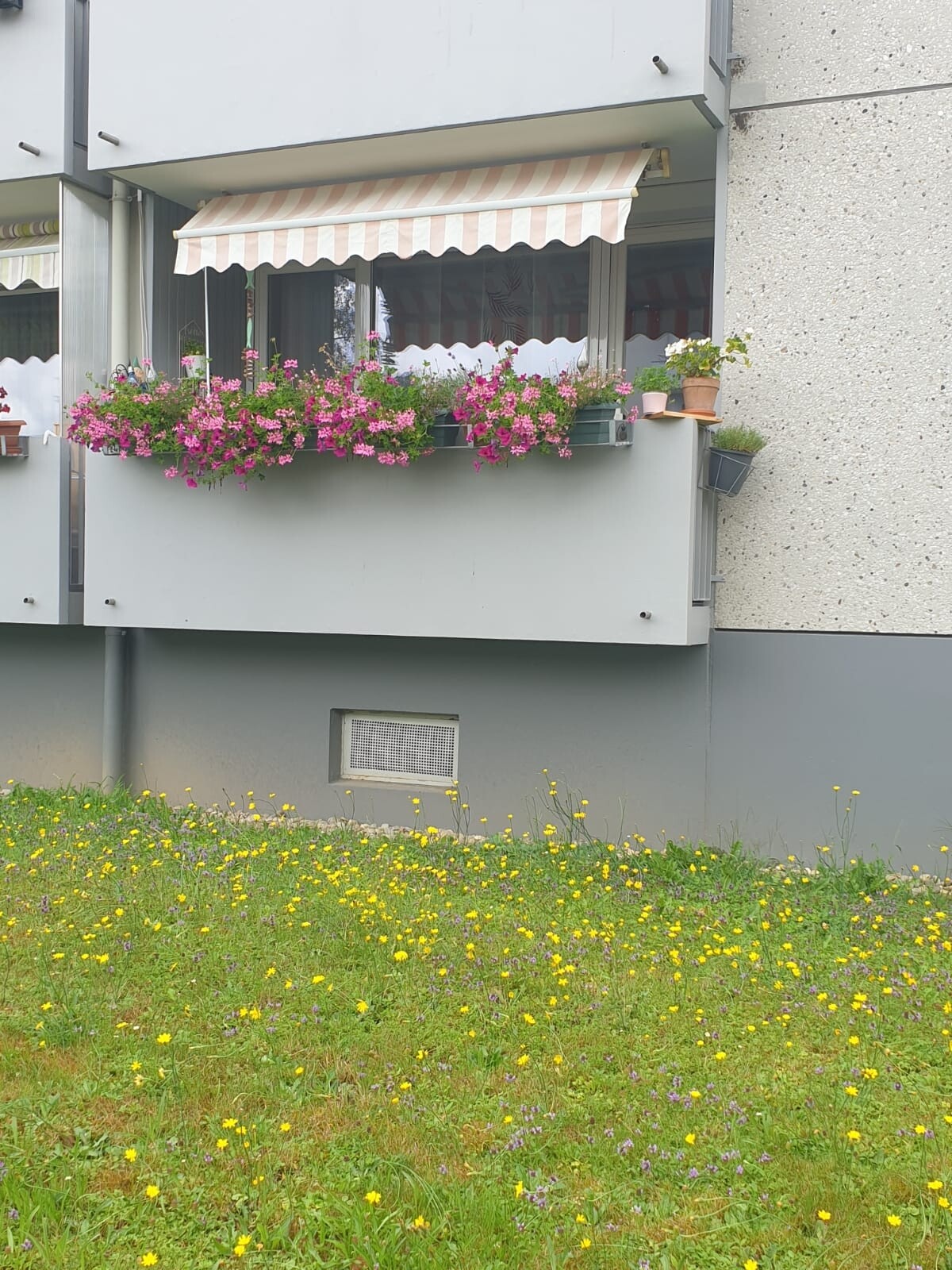 Immobilienbild