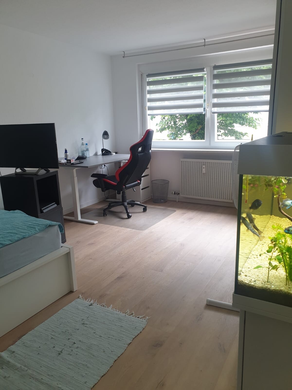 Immobilienbild