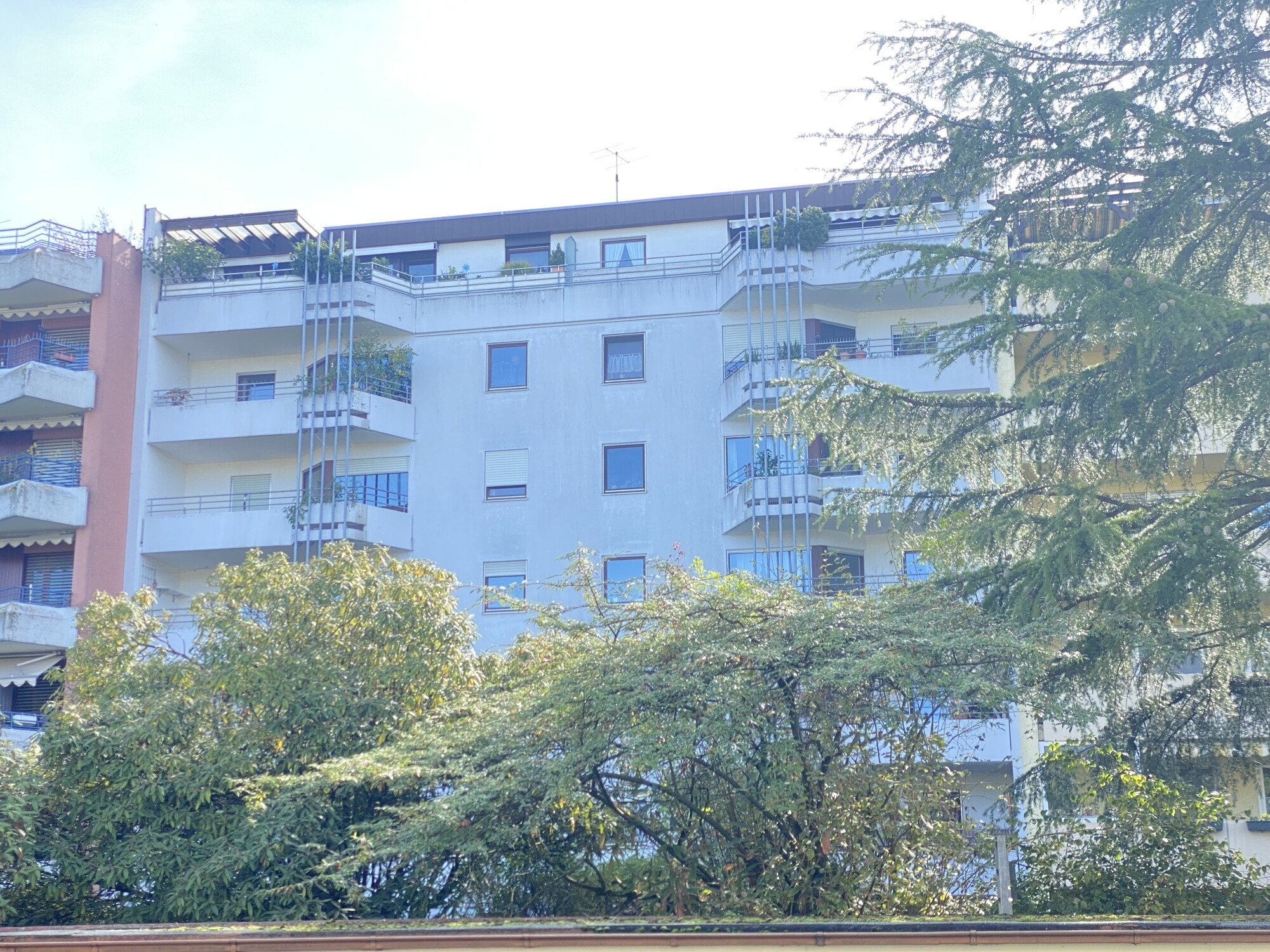 Immobilienbild