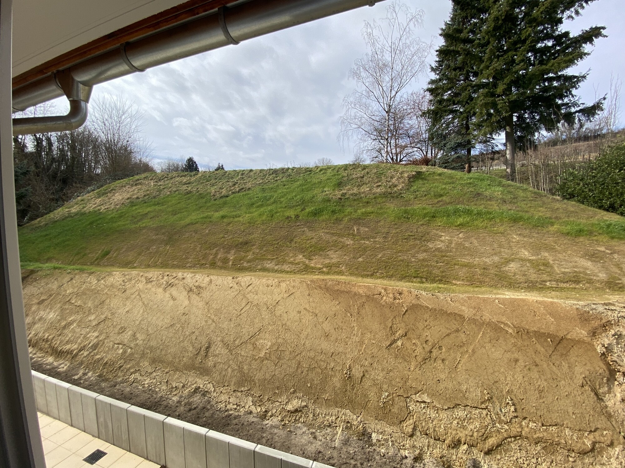 Immobilienbild