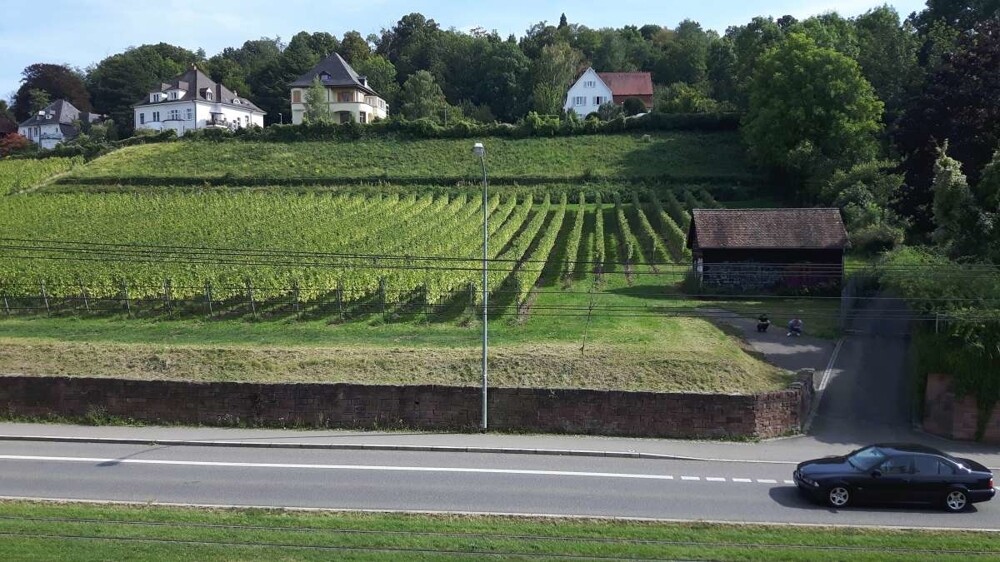Immobilienbild