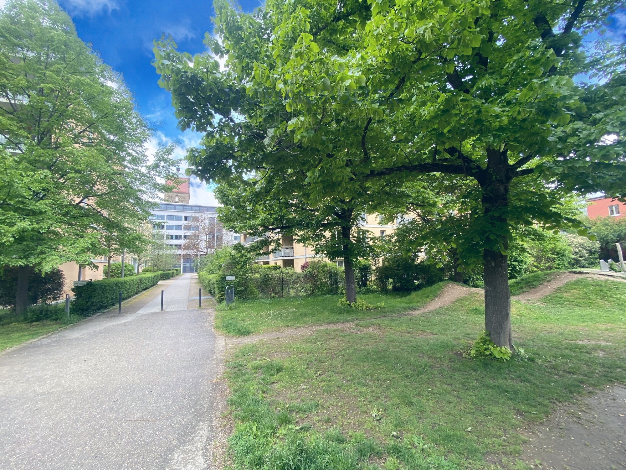 Park direkt am Haus