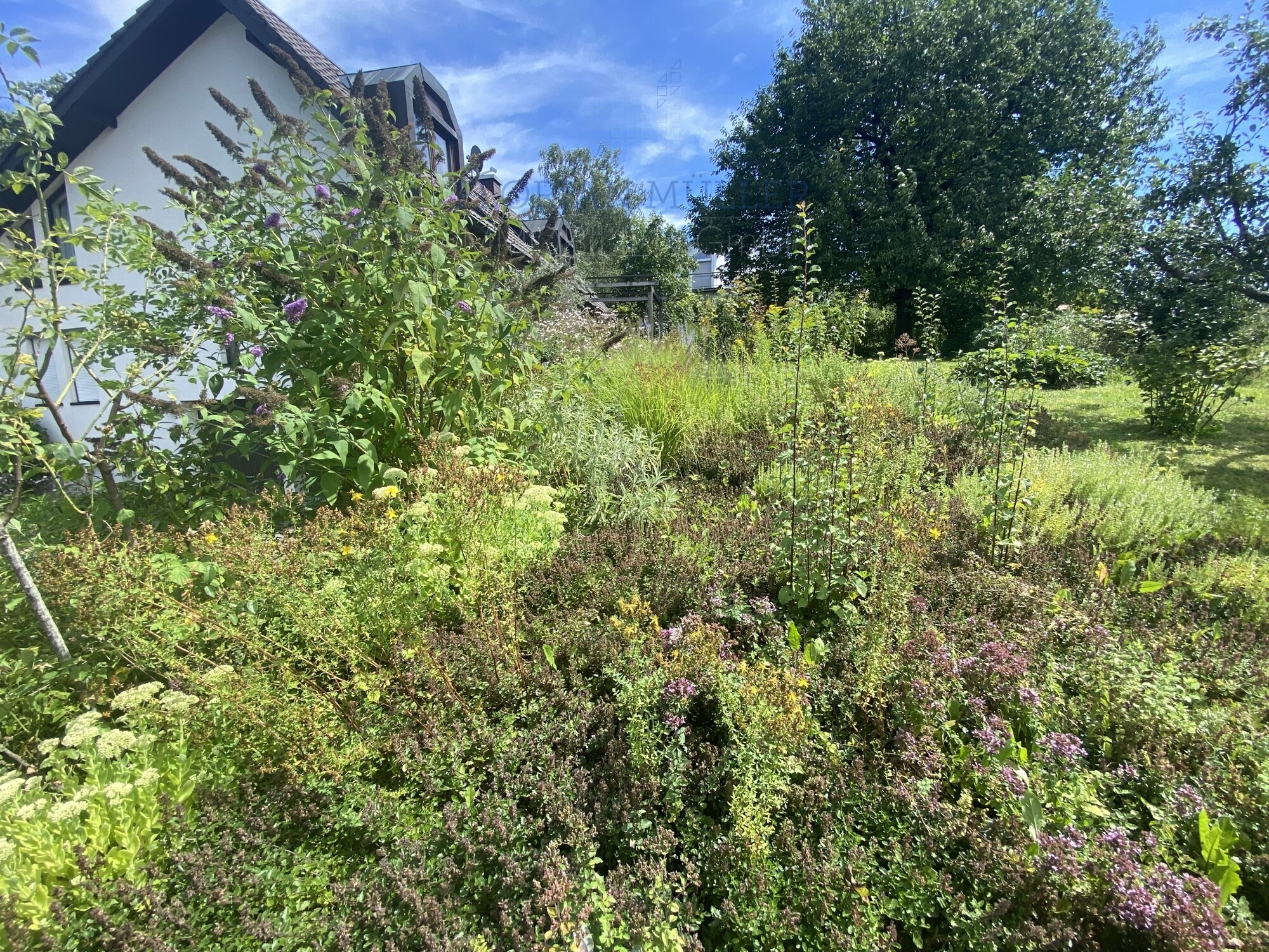 Immobilienbild