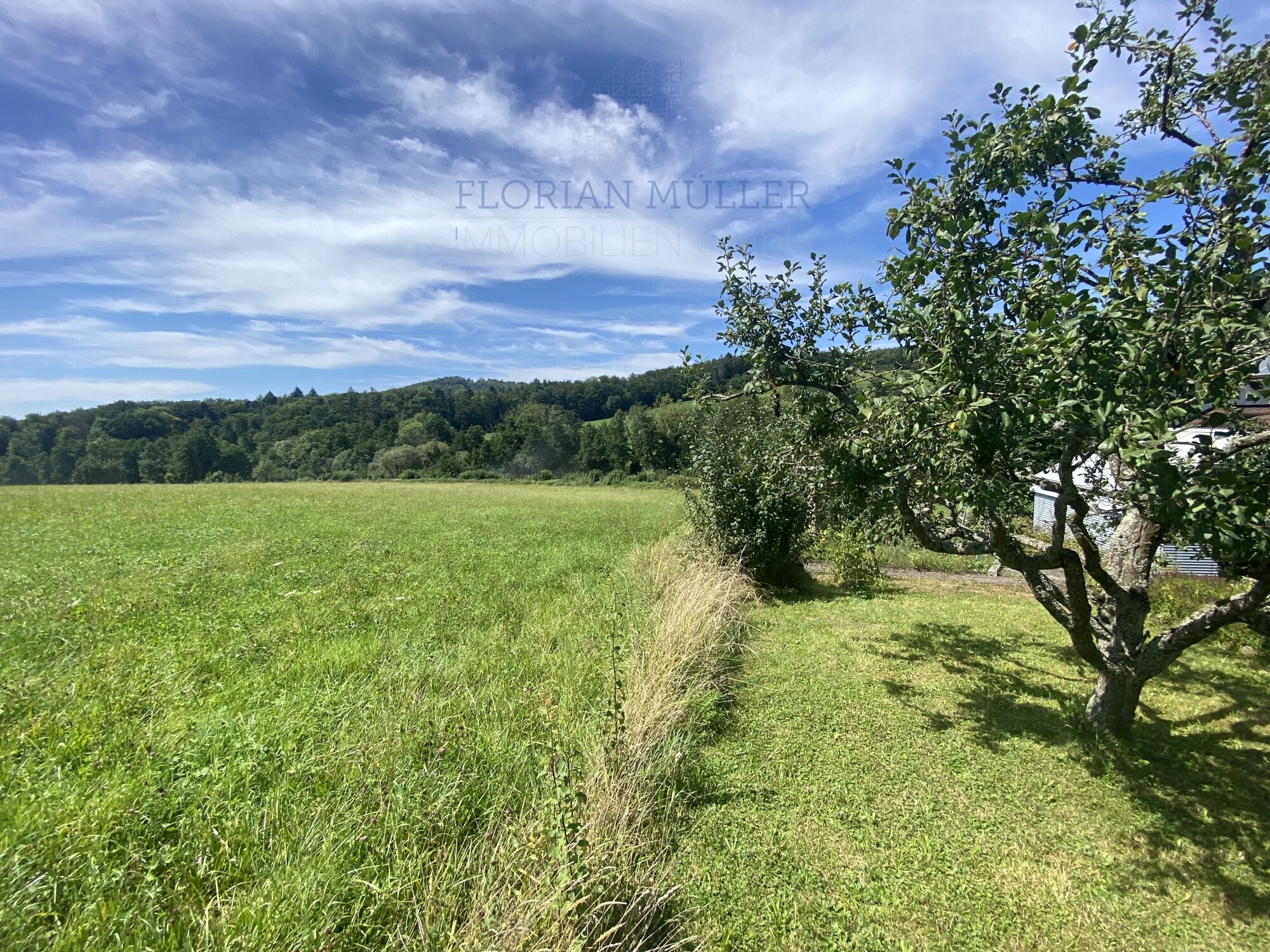 Immobilienbild