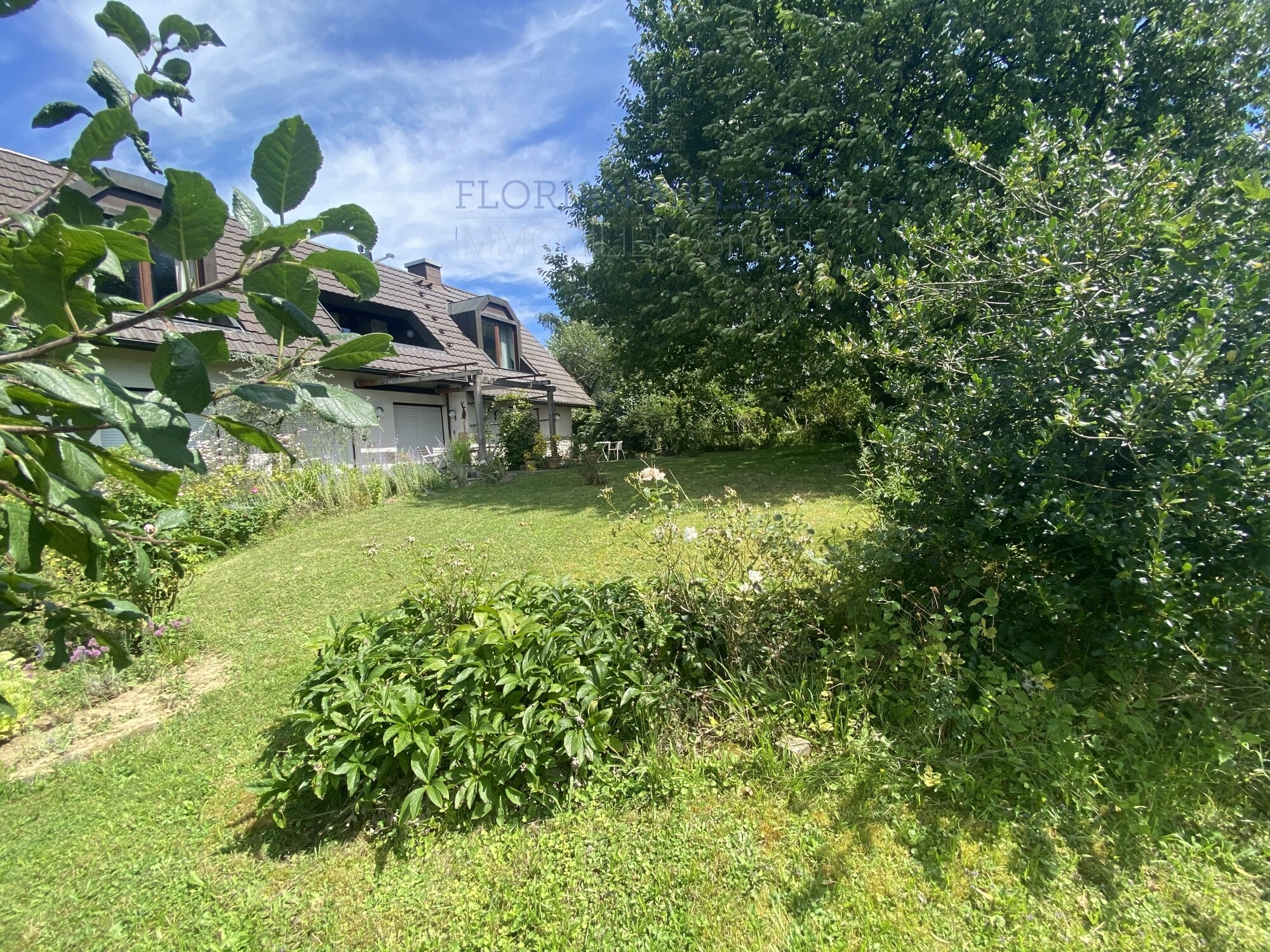 Immobilienbild