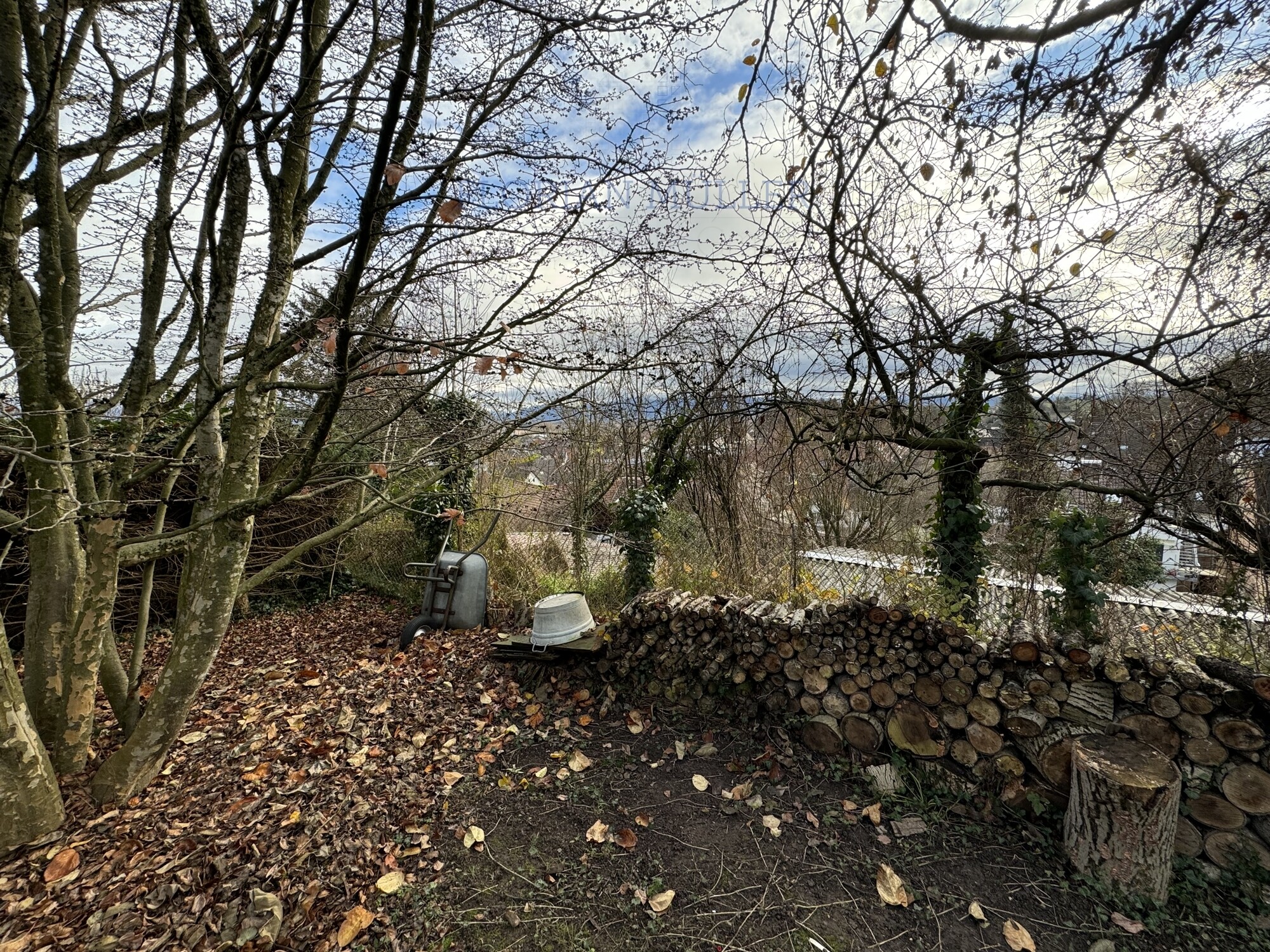 Immobilienbild