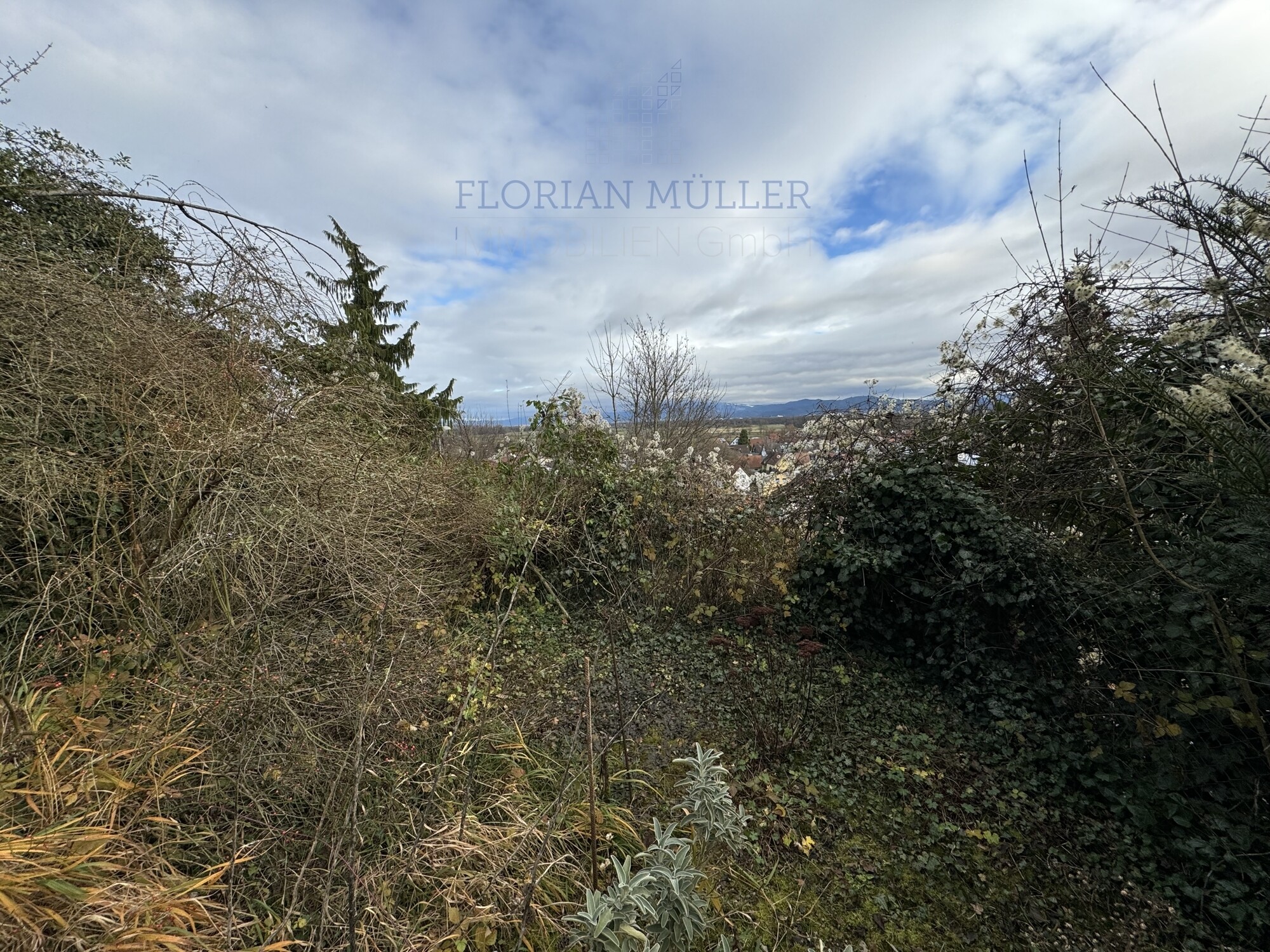 Immobilienbild