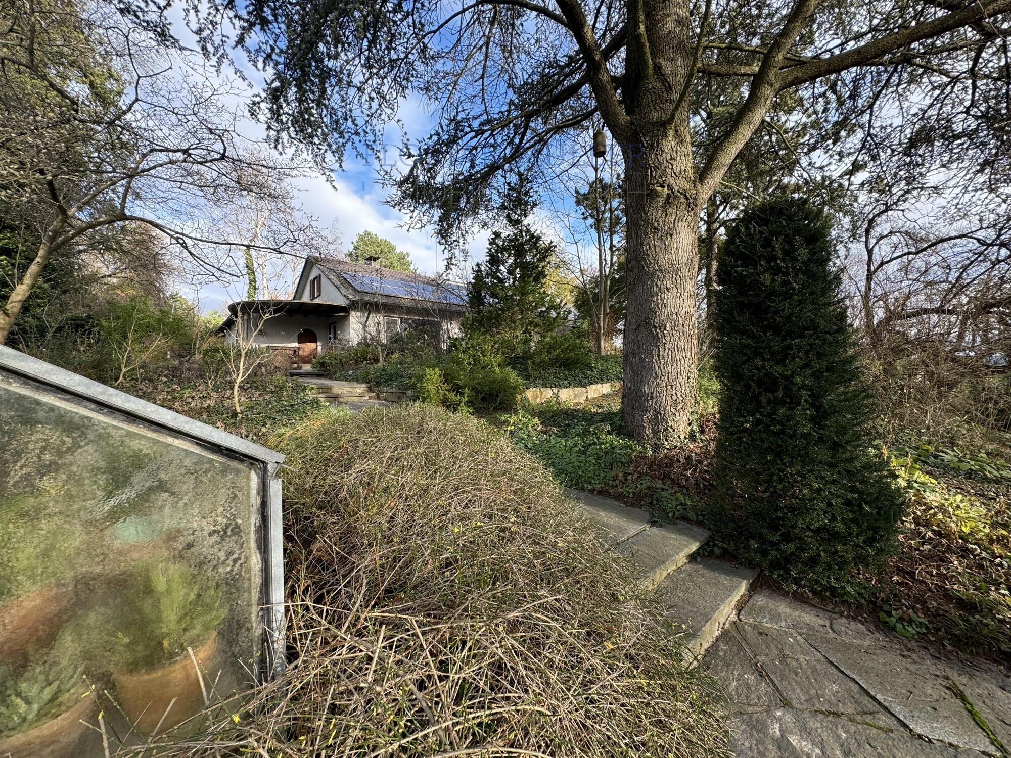 Immobilienbild