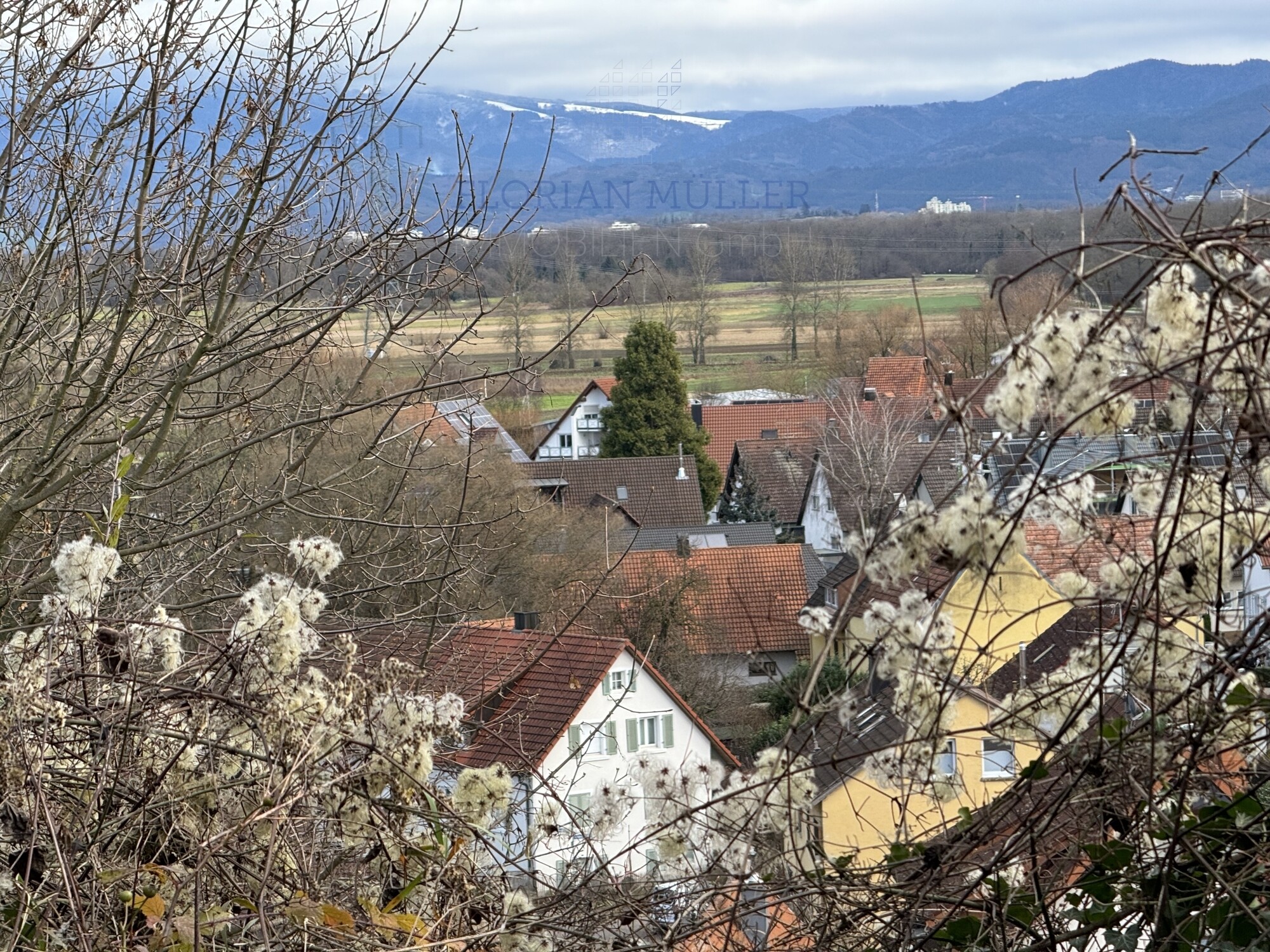 Immobilienbild