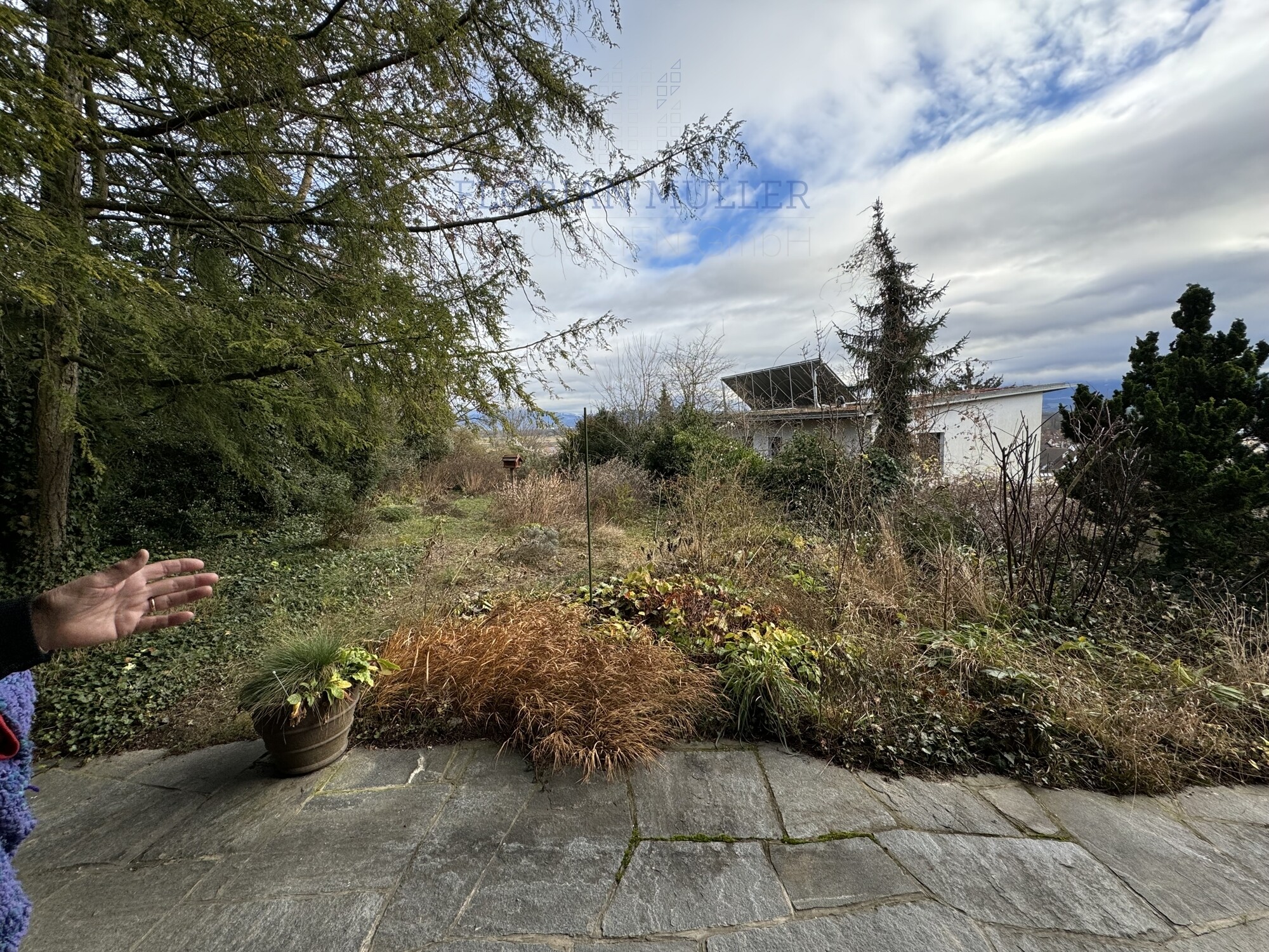 Immobilienbild