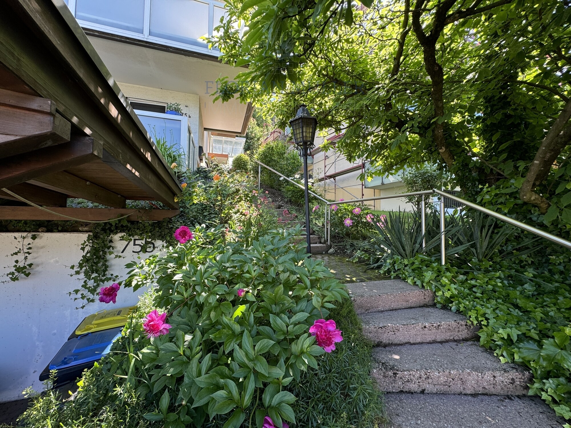Immobilienbild