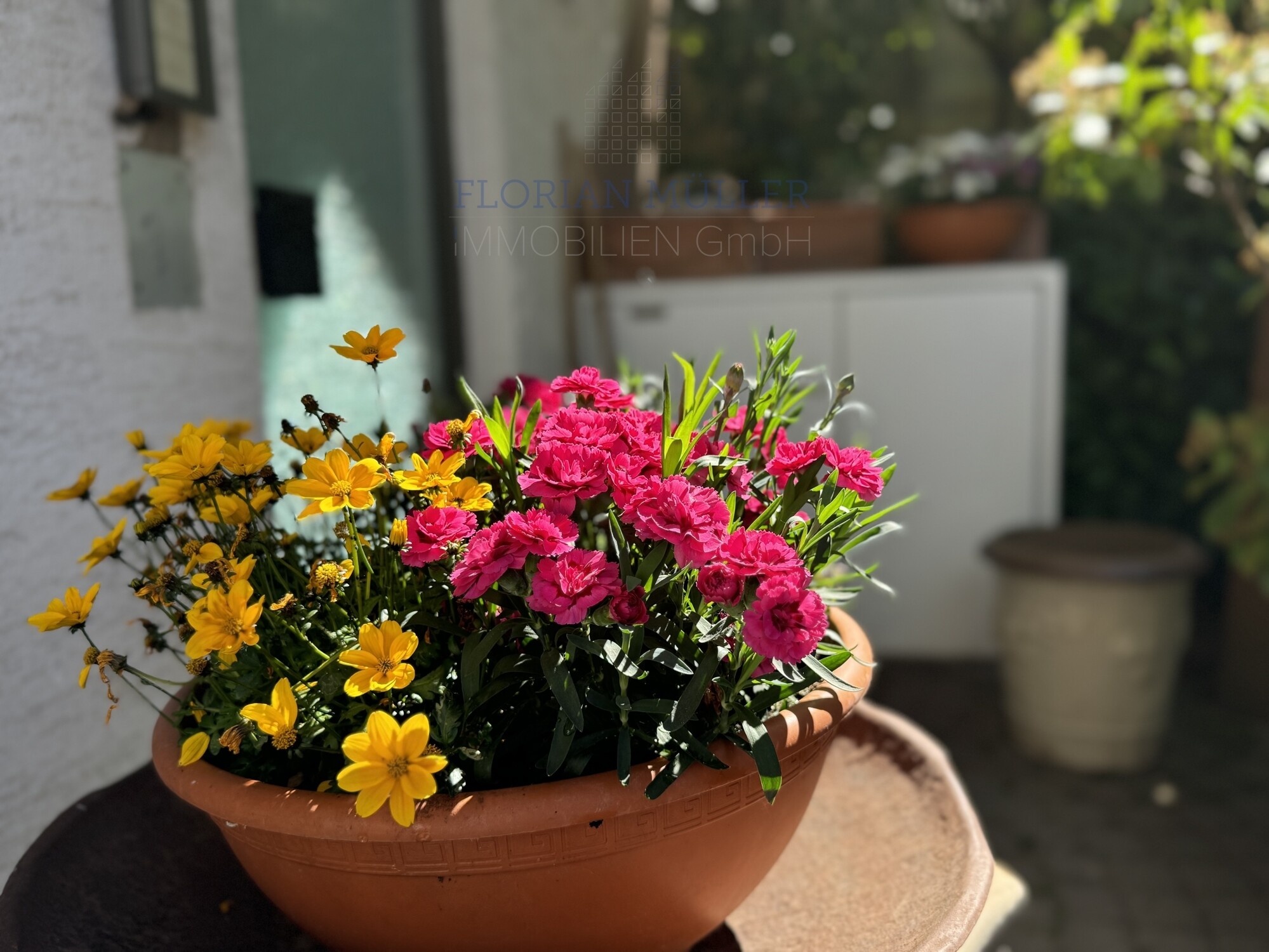 Immobilienbild
