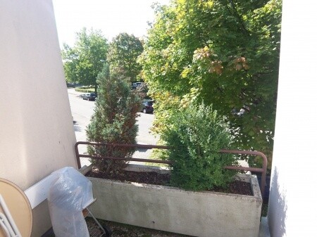 Immobilienbild
