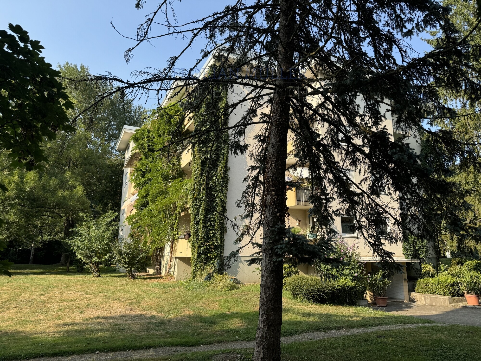 Immobilienbild