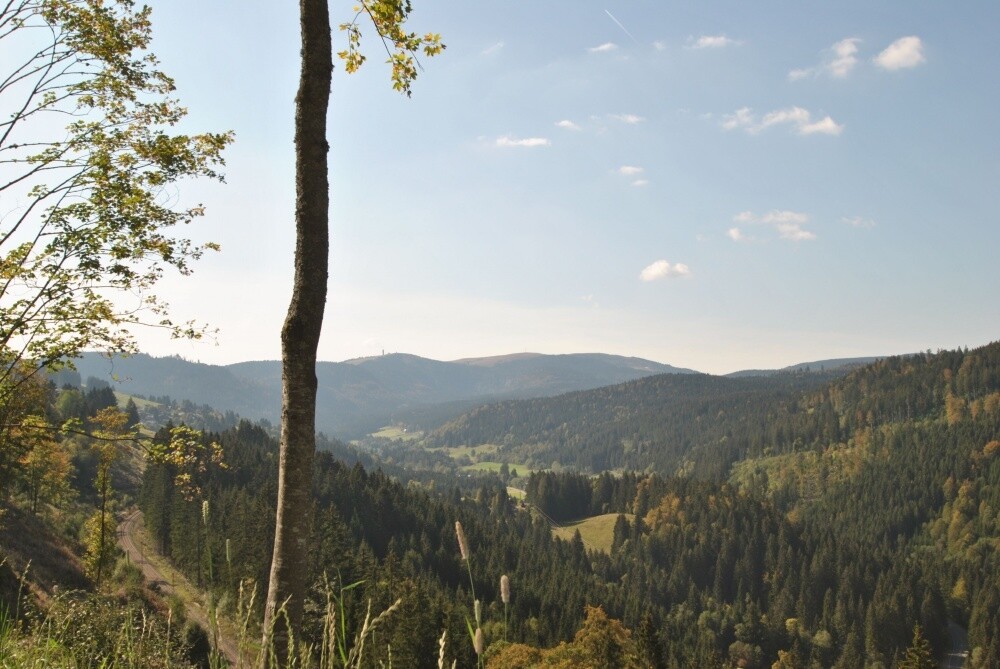 schöne Anfahrt