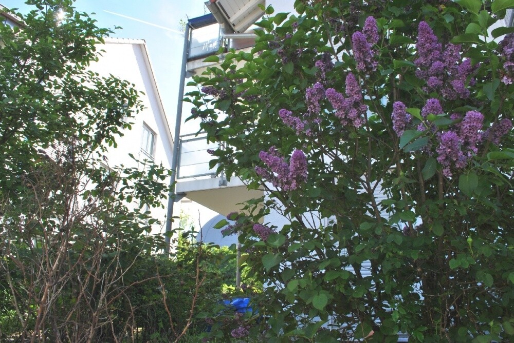 Immobilienbild