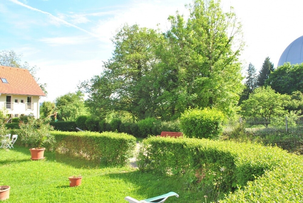Immobilienbild