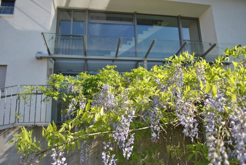 Immobilienbild