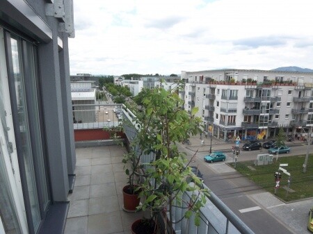 Immobilienbild