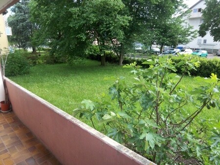 Immobilienbild