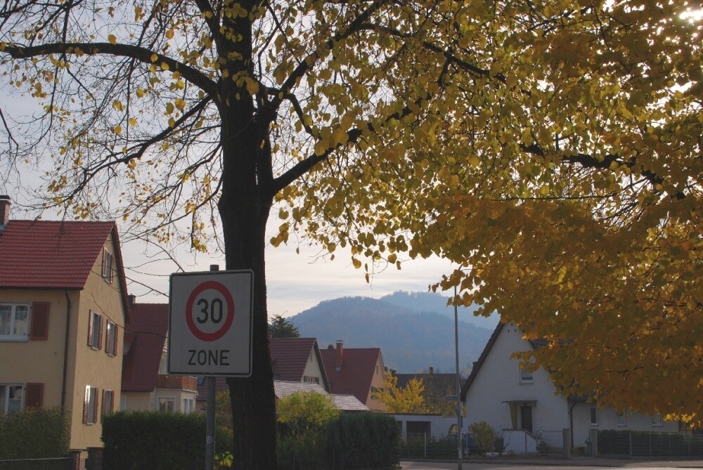 Immobilienbild