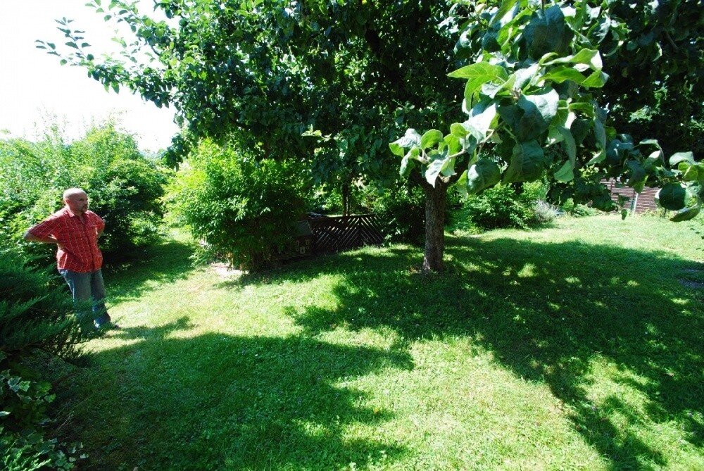 Garten mit Baumbestand