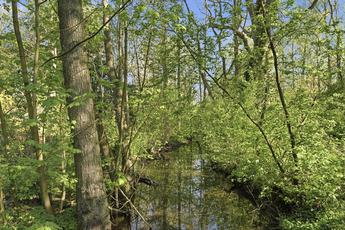 Glinde_Sönke-Nissen-Alle_klein_1