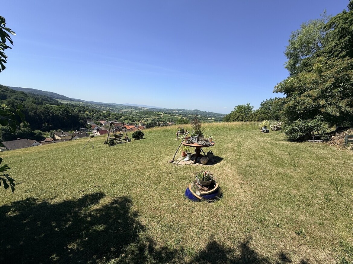  Aussicht Wiese 