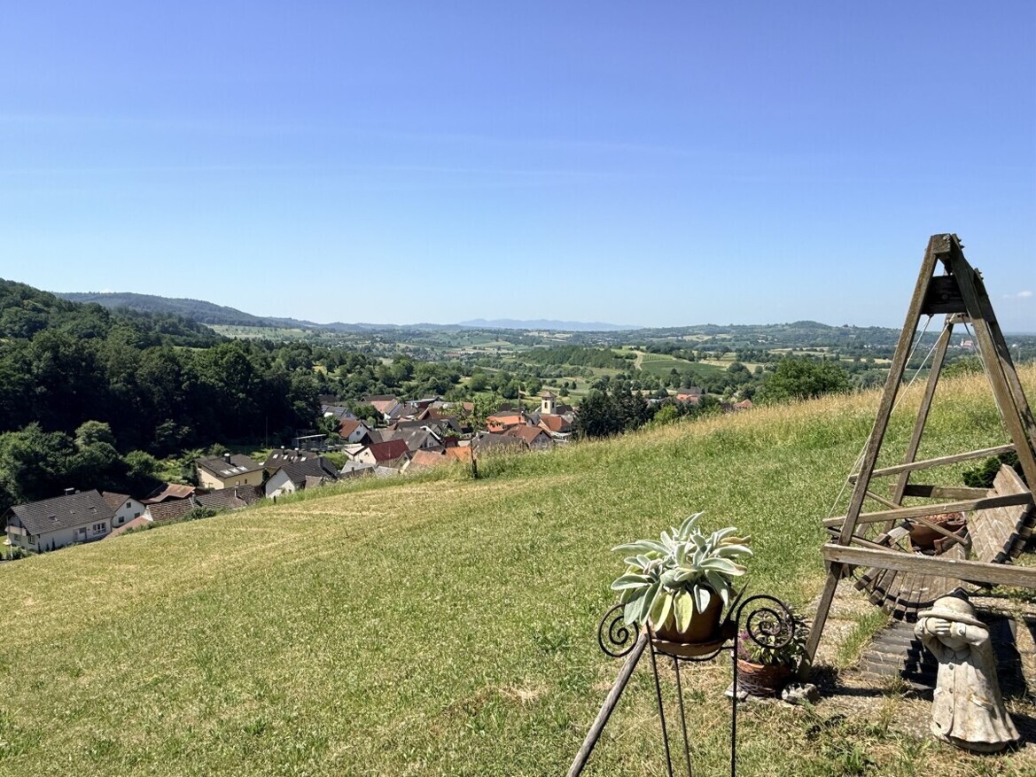 Aussicht Wiese 