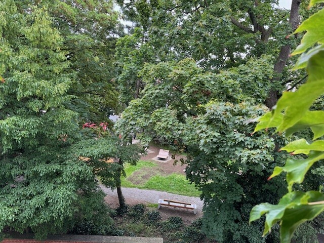 Ausblick v. Wohnzimmer