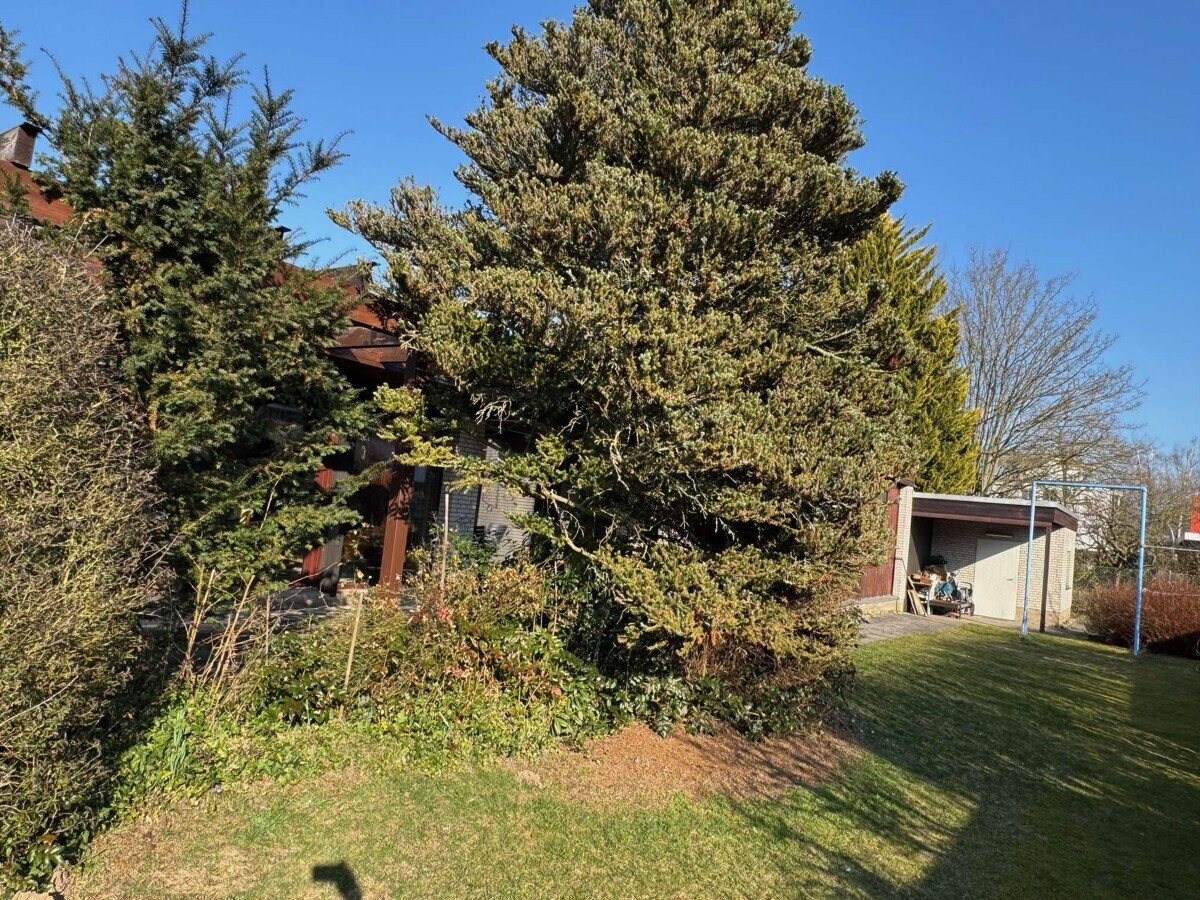 Immobilienbild