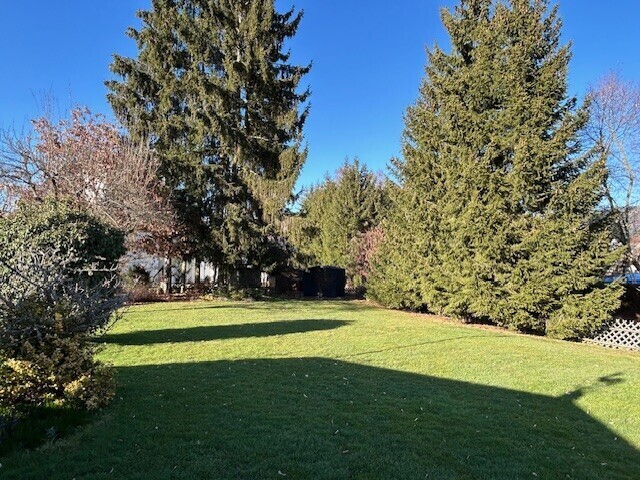 Gartenbereich vor Tannen