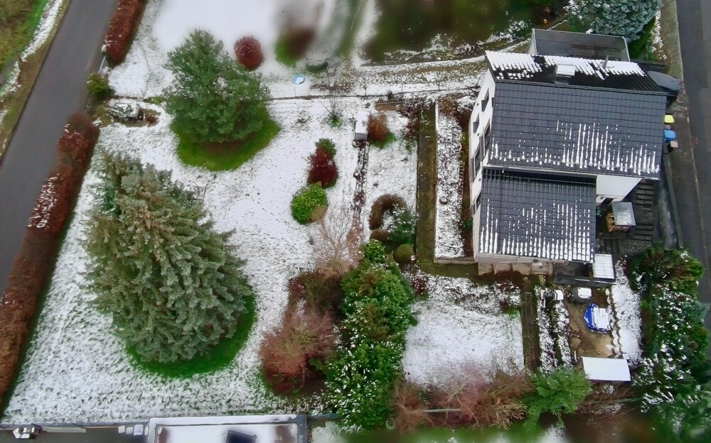 gesammtes Grundstück