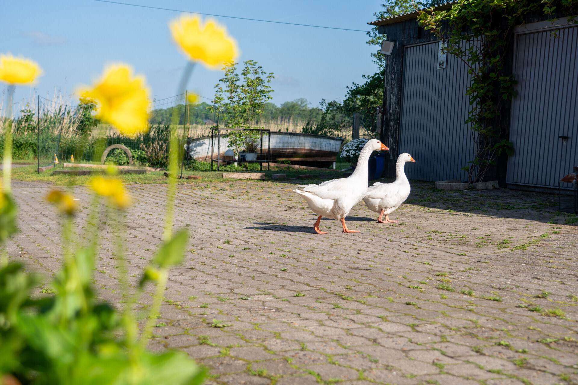 Leben im Einklang mit der Natur