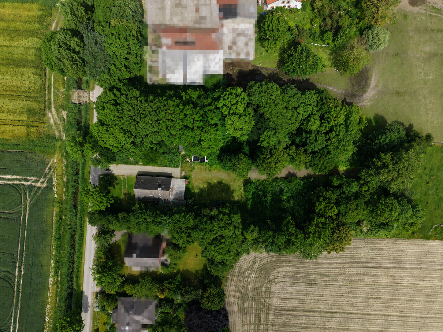 Freiraum genießen
