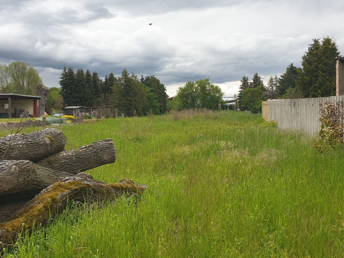 IMG-20210616-WA0031
