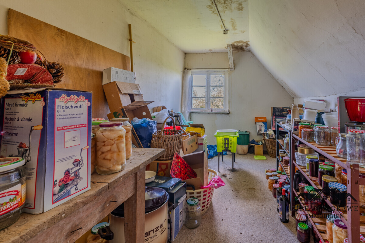 Zimmer 1 DG