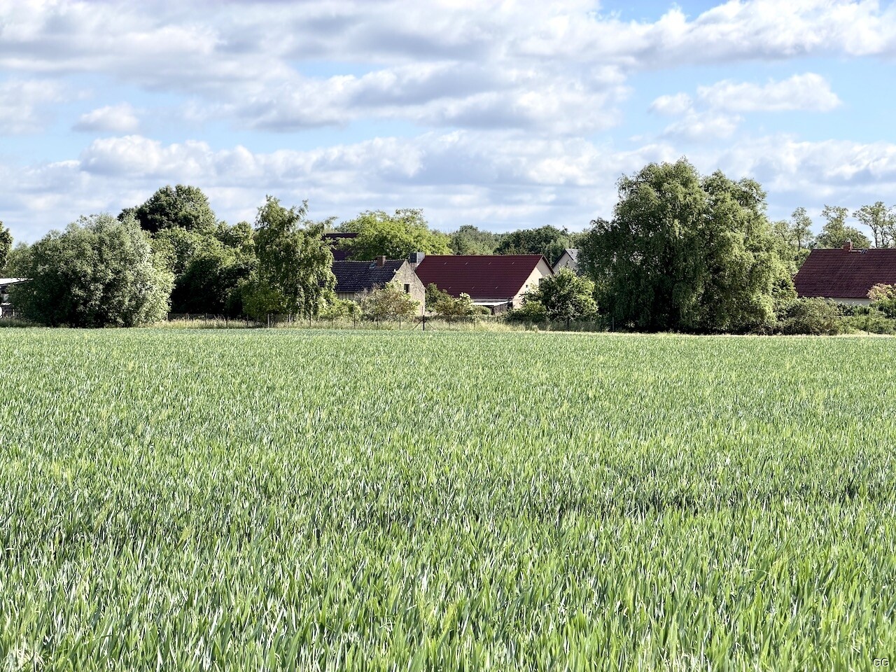 von den Feldern her