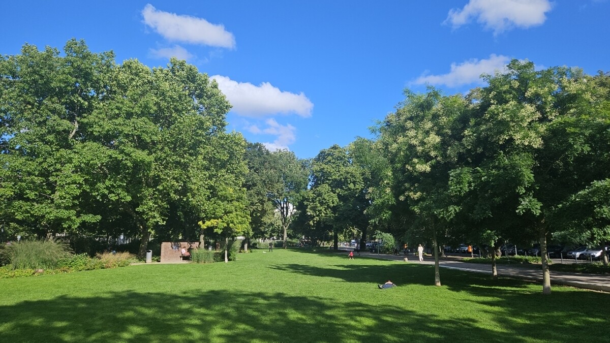 Nur wenige Gehminuten  zum Olivaer Platz