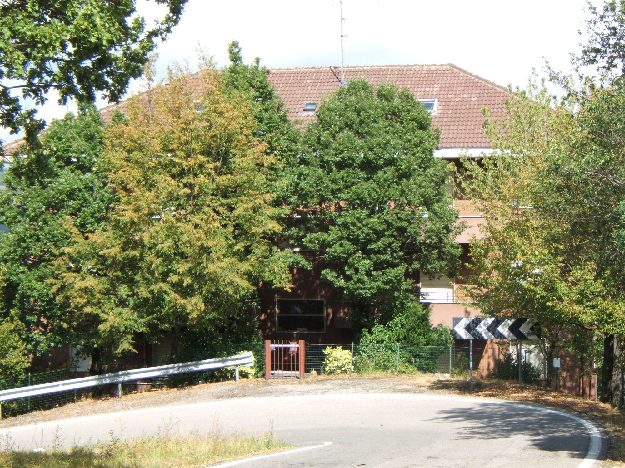 DSCF5596.JPG